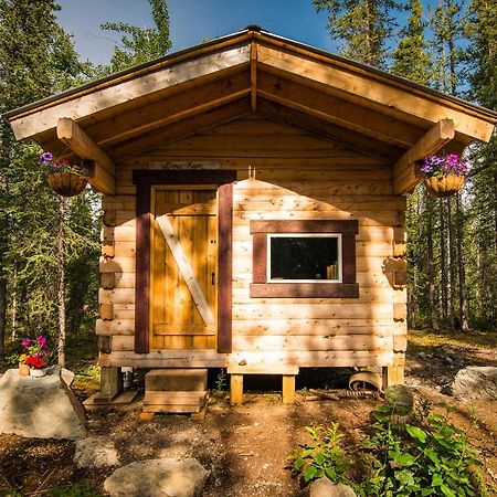 Blackburn Cabins - Mccarthy, Alaska 外观 照片