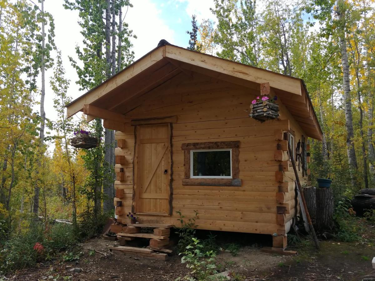Blackburn Cabins - Mccarthy, Alaska 外观 照片