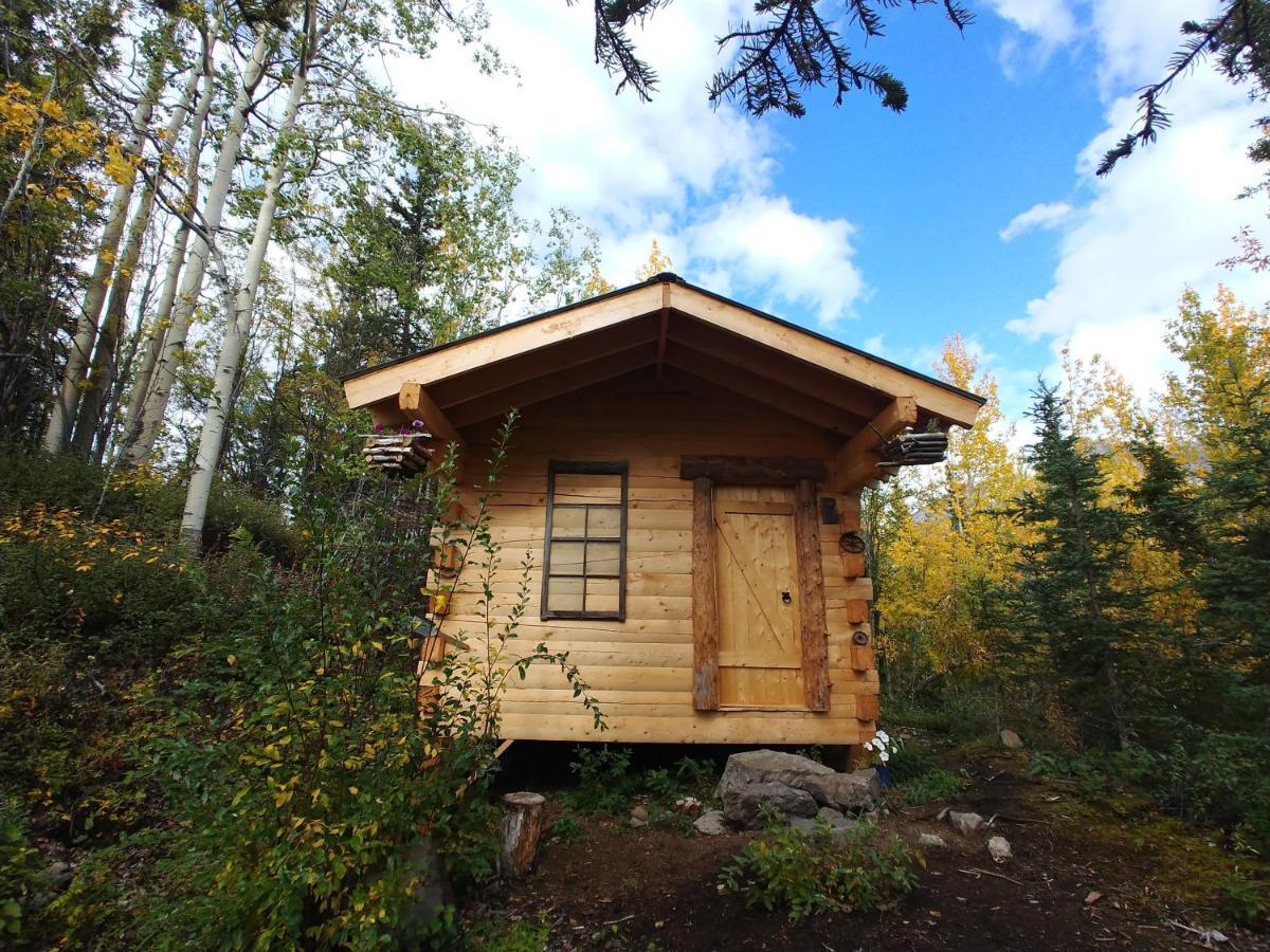 Blackburn Cabins - Mccarthy, Alaska 外观 照片